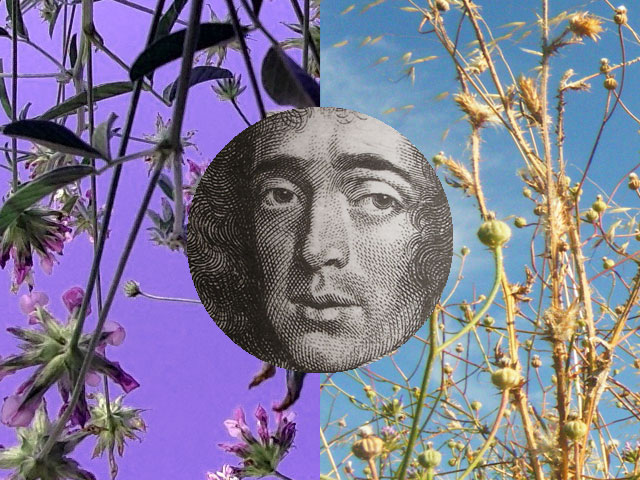 Spinoza et la nature